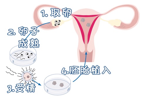 伊藤医師